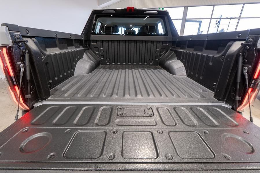 2025 LDV Terron 9 Origin Auto AWD Dual Cab Photo 20